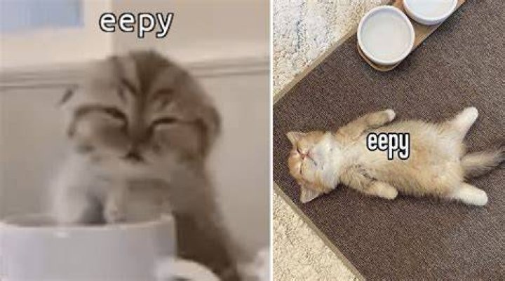Eepy Meaning: Understanding Its Significance and Usage