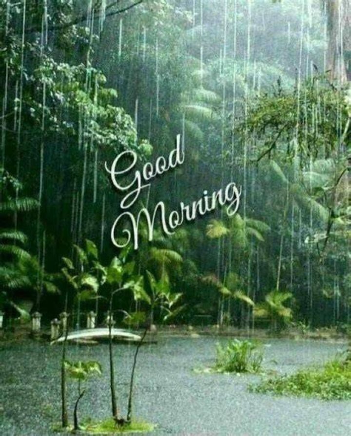 Good Morning Rain: The Beauty and Serenity of Rainy Mornings
