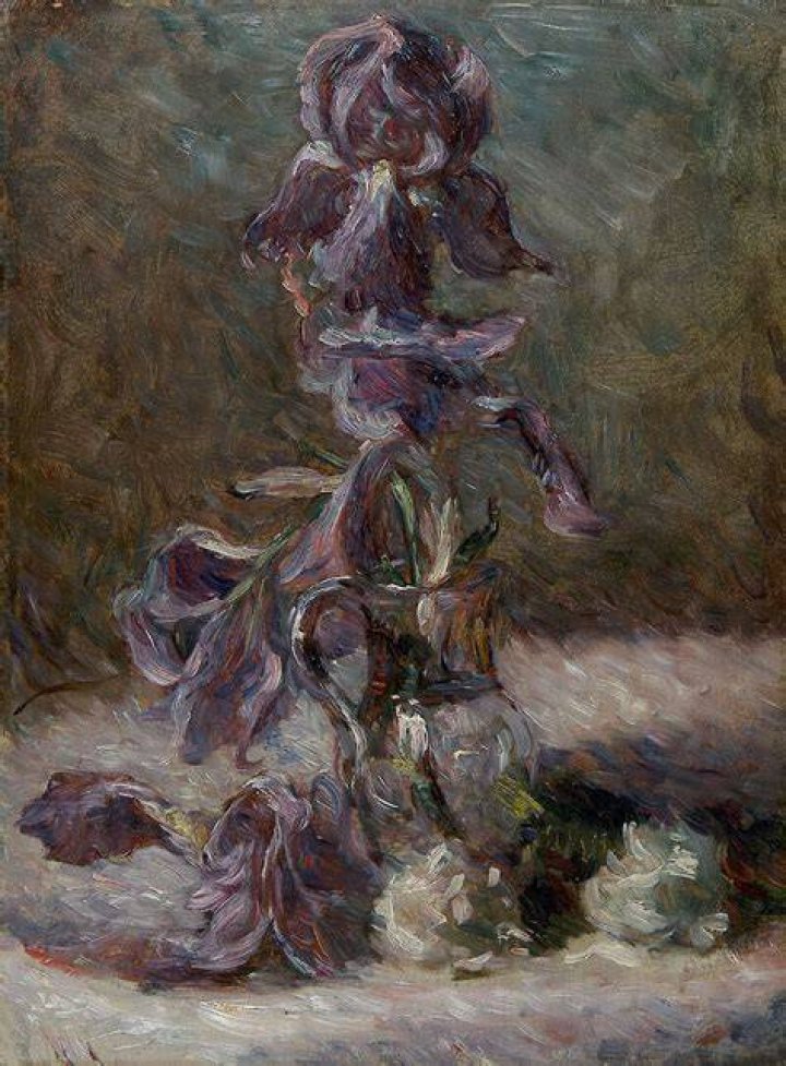 Marie de Érome: The Life and Legacy of a Pioneering Artist