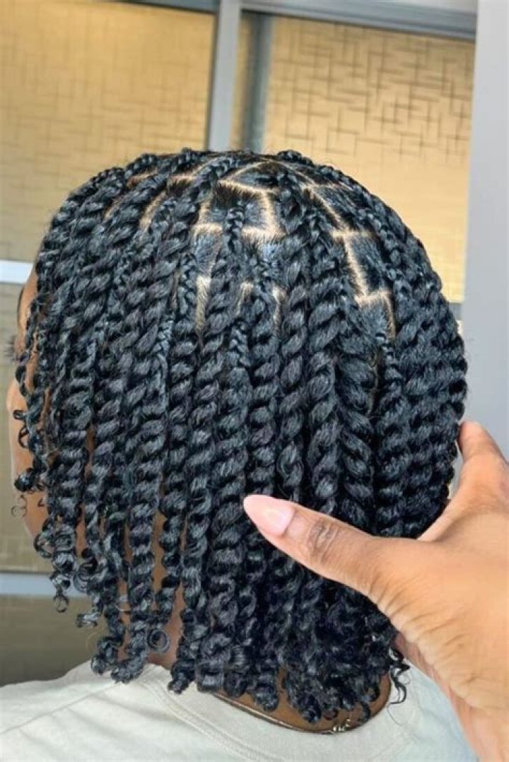 Natural Hair Styles: The Beauty of Two Strand Twists